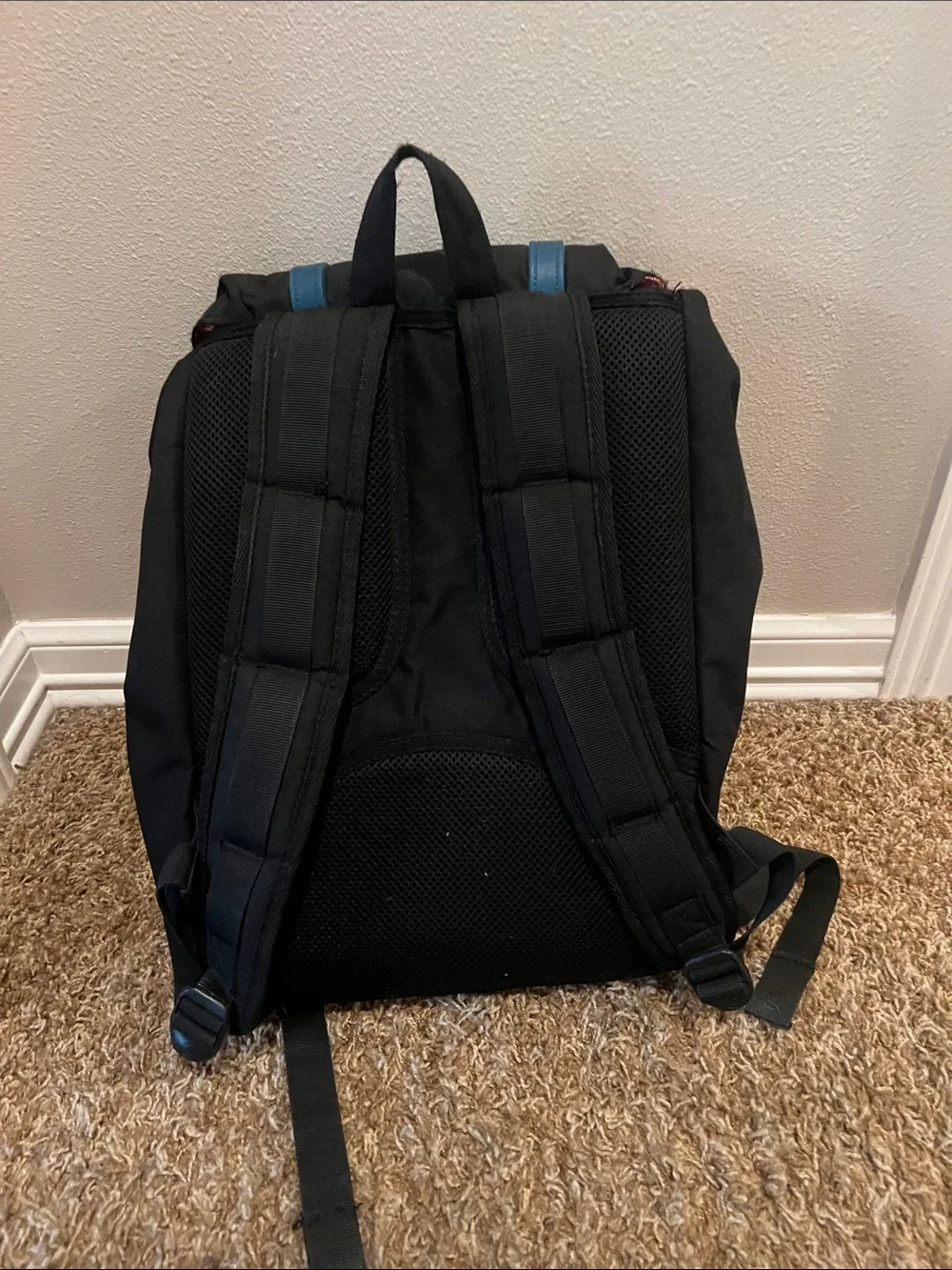 Herschel Supply Company durable herschel